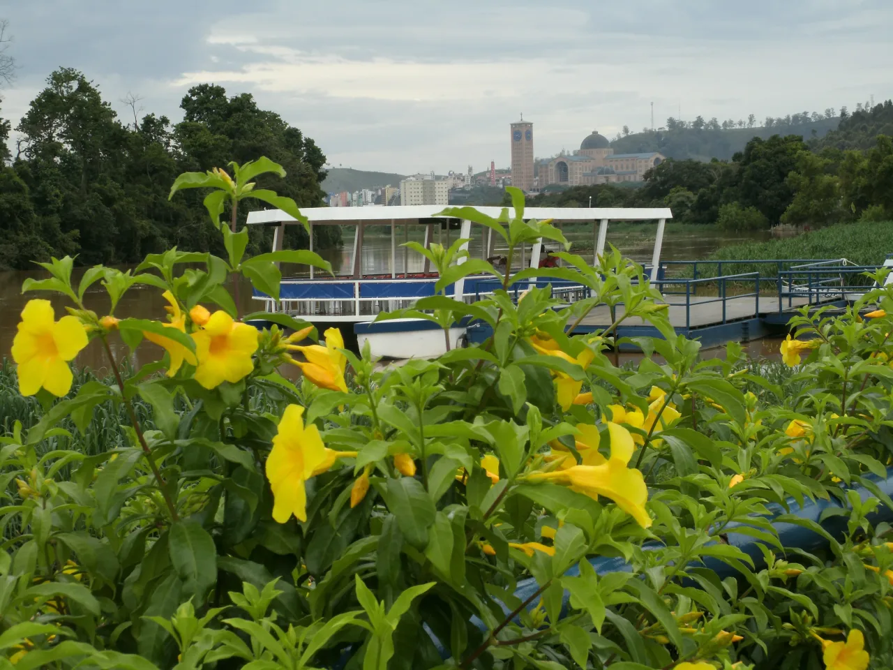 Flowers and the riverside landing at Porto Itaguaçu, photographed in 2010.