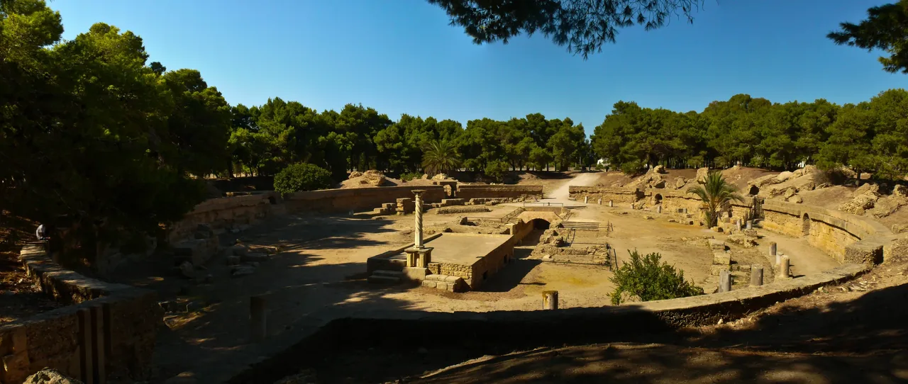 The oval arena and excavated substructures of the Roman amphitheatre of Carthage, seen from the rim among pine trees.
