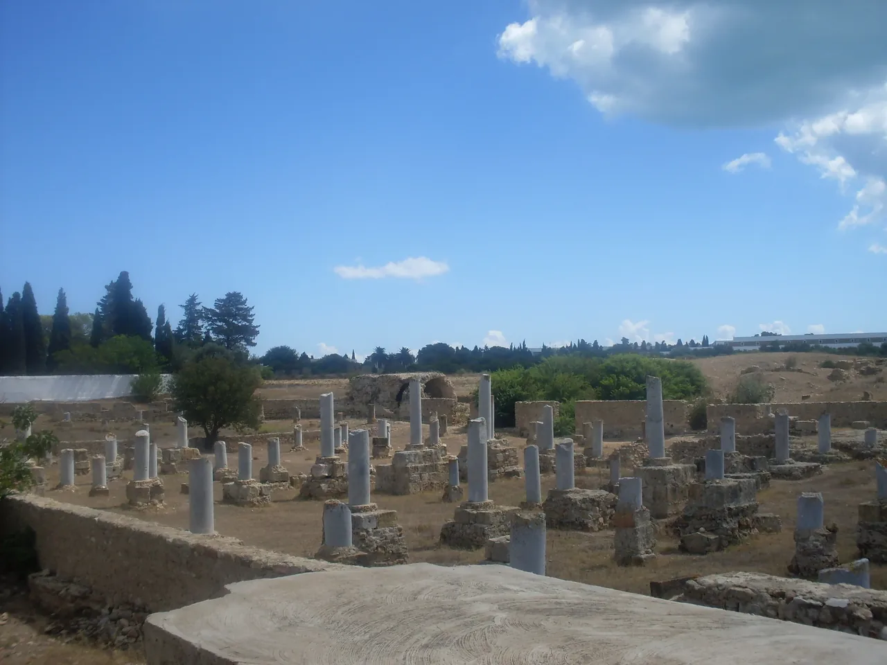 Rows of low column stumps across the excavated floor of the basilica of Damous el-Karita at Carthage.
