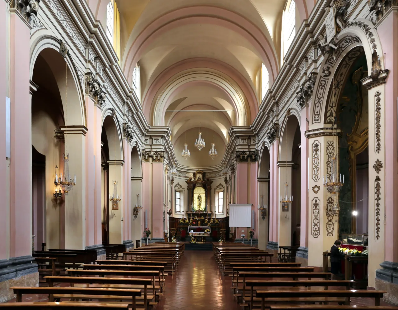 The nave of the Basilica of San Pellegrino Laziosi in Forlì, its pink and white pilasters rising to a barrel vault above rows of wooden benches.