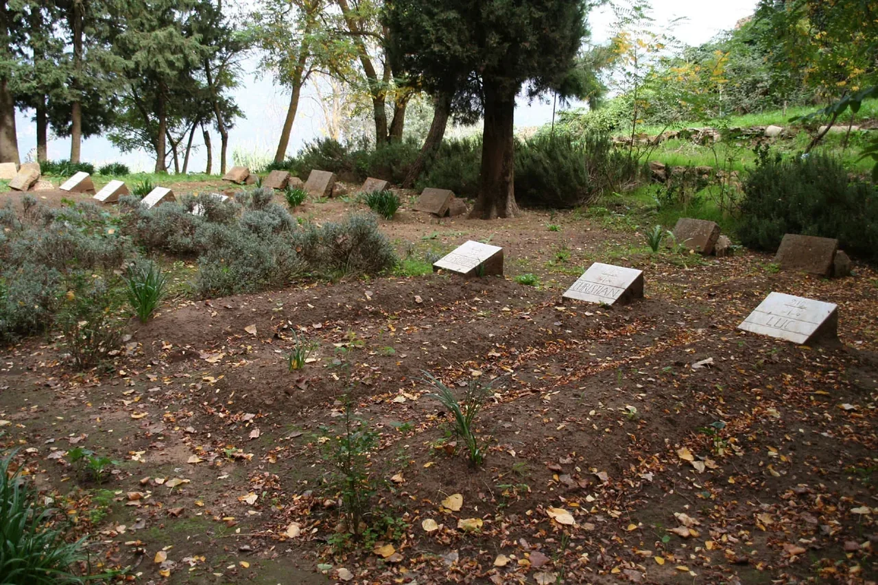 Low stone grave markers lying among fallen leaves and shrubs in the cemetery of the monastery of Tibhirine.