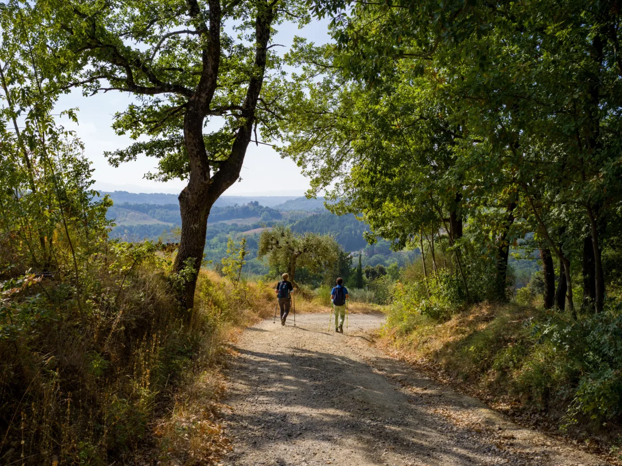 Pilgrims walking a wooded stretch of the Via Francigena between San Gimignano and Colle di Val d'Elsa in Tuscany.